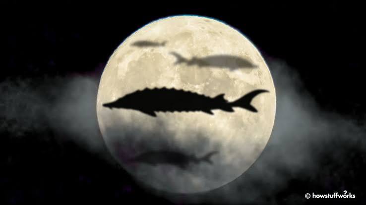Calgary Full Moon Run #420 - Sturgeon Moon